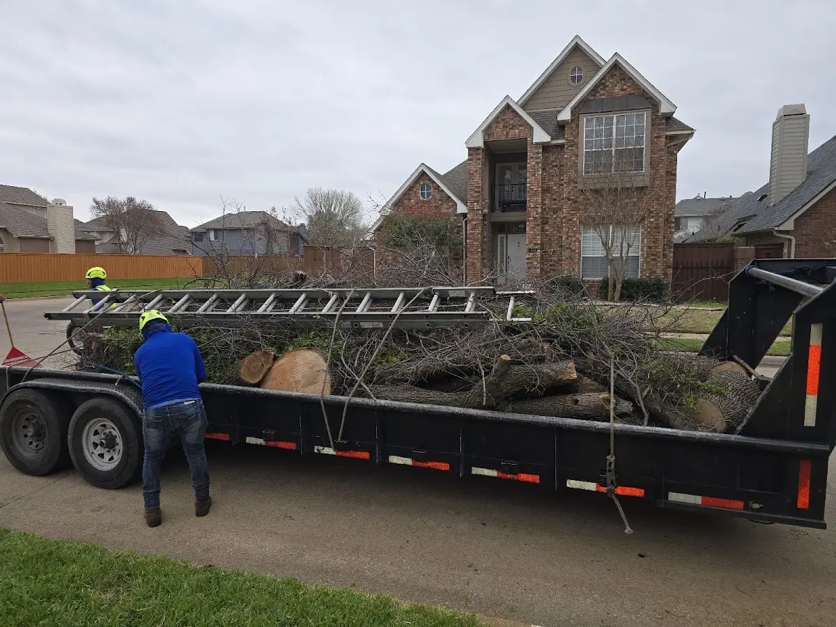 Expert Lot Clearing with proper safety equipment in Petersburg